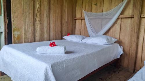 Nuqui House | Ecoposada Nore