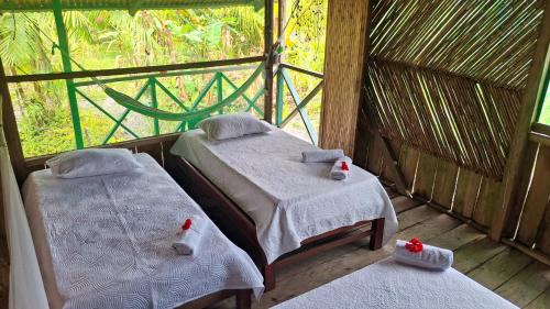Nuqui House | Ecoposada Nore