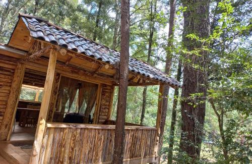 Acaxochitlan Apartment | ecoturístico montaña viviente , CABAÑA CHALCHOAPAN