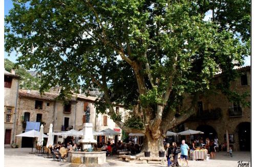 Saint-Guilhem-le-Desert Apartment | Edelweiss