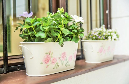 Gyor House | Eden Center Home