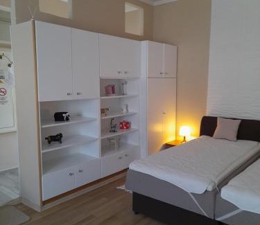 Satoraljaujhely Apartment | Edina Apartman