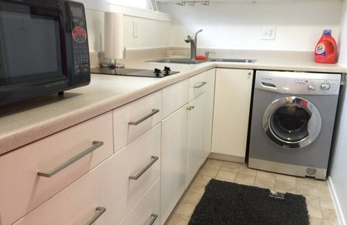 Reston House | Efficiency Private BSMNT APT- DC 20m IAD-10m Metro