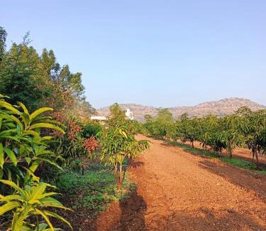 Ghodegaon Cabin | Eikant