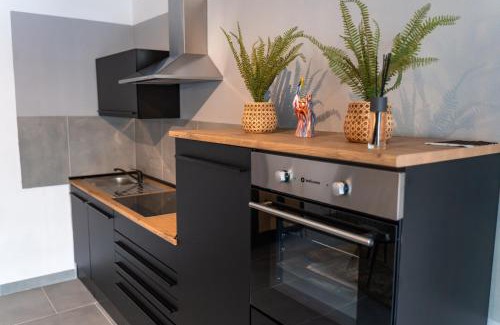 Offenbach am Main Apartment | EIN Zi APARTMENT ZENTRUM WLAN PARKPLATZ 01