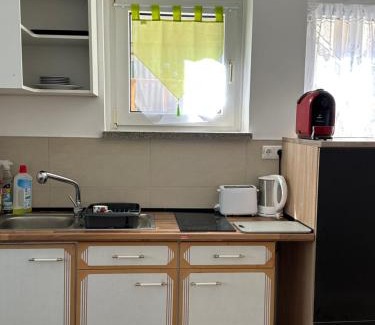 Oelsnitz House | Ein Zimmer Wohnung am Markt