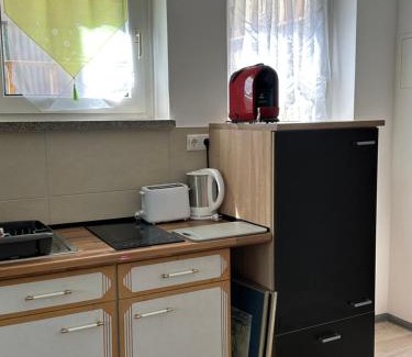 Oelsnitz House | Ein Zimmer Wohnung am Markt