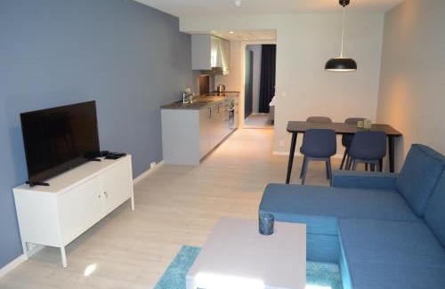 Laerdal Apartment | Einemo Apartments
