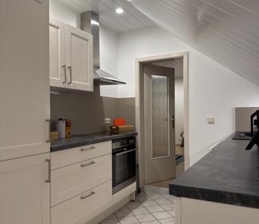 Limbach-Oberfrohna Apartment | Einfamilienhaus unterm Dach