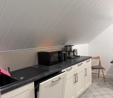 Limbach-Oberfrohna Apartment | Einfamilienhaus unterm Dach