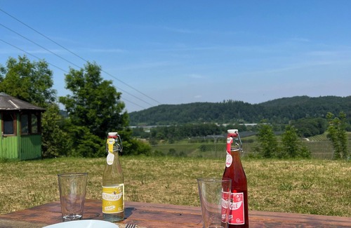 Tettnang Apartment | Einzigartiger Panoramablick mit Terrasse Nähe Tettnang Bodensee und Messe