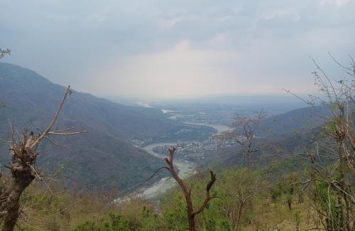 Tapovan House | Ejaa's House Bistro & Cafe