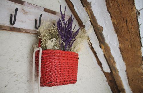 Cardona Apartment | El Baluard