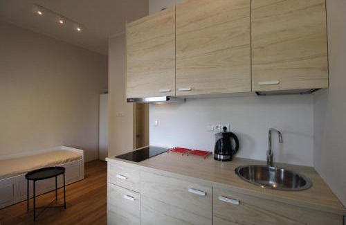 Lasnamae Apartment | El Castillo Apartments