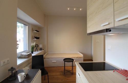 Lasnamae Apartment | El Castillo Apartments