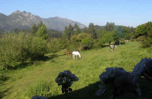 Ovio House | El Corral Del Acebo