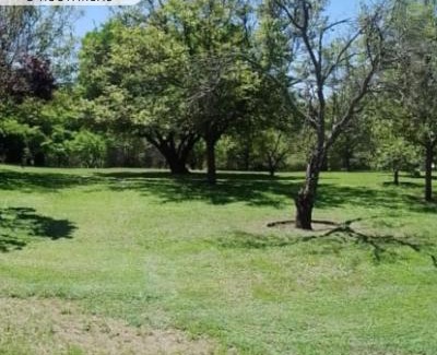 La Granja House | El morenito