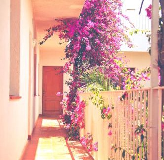 Vilamaniscle Apartment | El Penell Apartament Llevant