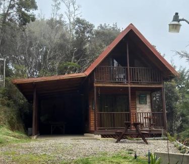Copey Ski Chalet | El Quetzalito Cabin
