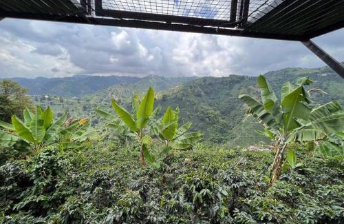 Manizales House | El refugio del Guayacán