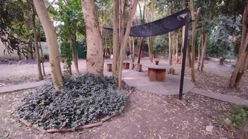 Victoria House | El Respiro