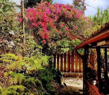 San Francisco Apartment | El Rinconcito Feliz