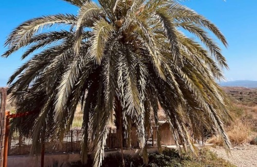Huercal-Overa Apartment | El sueño de Andalucia, Luxury, design, awesome nature, beaches and swimming pool