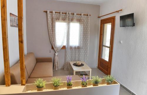 Psakoudia Apartment | Elaionas Apt.