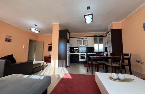 Elbasan Apartment | Elbasan center family apartment n.42