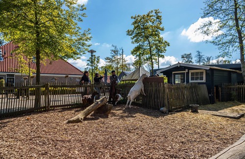 Velsen-Zuid Ski Chalet | Elegant chalet 25 km Amsterdam