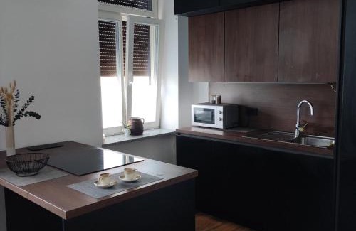 Ptuj Apartment | Elegant City Escape Old Town Ptuj Apartment