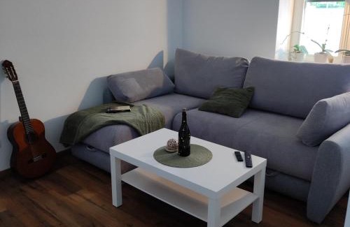 Ptuj Apartment | Elegant City Escape Old Town Ptuj Apartment