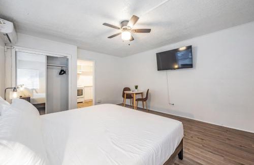 St. Petersburg - Clearwater Apartment | Elegant Studio Apartment in Downtown St Pete - Great Community Events!