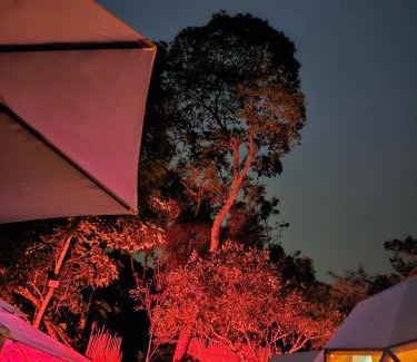 Cachipay Other | Elementium Glamping