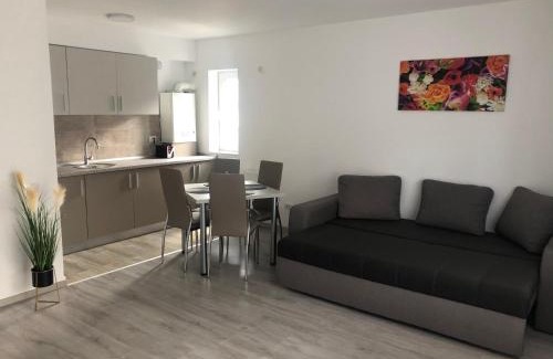 Busteni Apartment | Elena-Maria Apartments