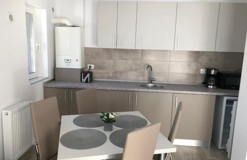 Busteni Apartment | Elena-Maria Apartments