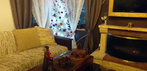 Chrysomilia Villa | Elena's villa