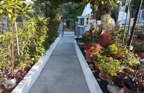 Limenaria Apartment | Eleni`s Guest House
