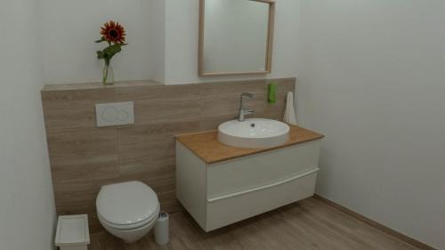 Sanderau Apartment | Eleonoras Ferienwohnung in Würzburg Stadt mit Terrasse im Erdgeschoss inklusive eigenen Parkplätzen vor der Tür