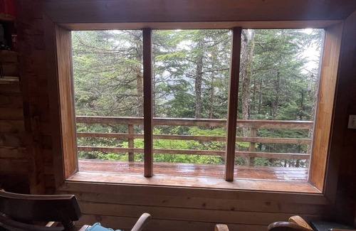 Elfin Cove Cabin | Elfin Cove's Hilltop Tree House