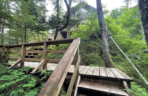 Elfin Cove Cabin | Elfin Cove's Hilltop Tree House