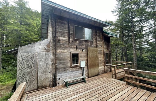 Elfin Cove Cabin | Elfin Cove's Hilltop Tree House
