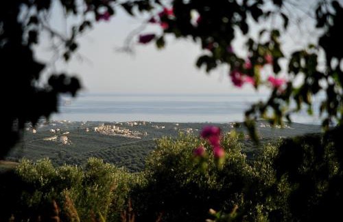 Ano Vouves Hotel | Elia Hotel & Spa