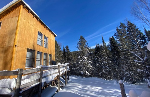 Champion Cabin | Ellens’s Cabin Where comfort meets wilderness, remote yet cozy
