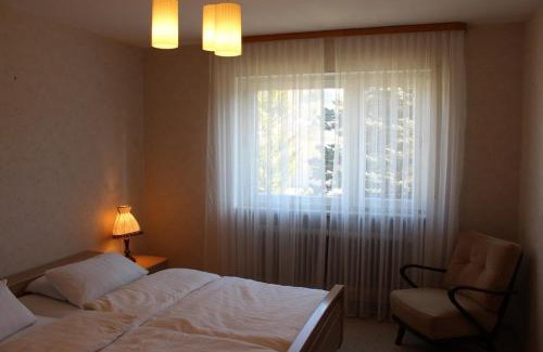 Warmensteinach Apartment | Elsa's Waldnest-Nähe Fichtelsee