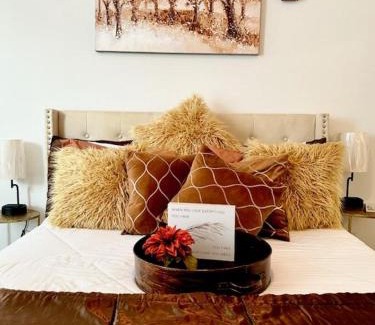 Houston Apartment | ELUXE at San Felipe