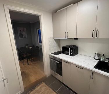 Kristiansand Apartment | Elvegata 6, Kristiansand H0402