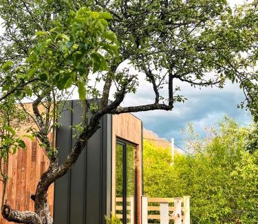 Sadu Bed & Breakfast | Elysian Fields - Tiny House 'Evergreen'