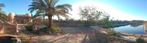 Bawati House | Elysium resort in Bawiti