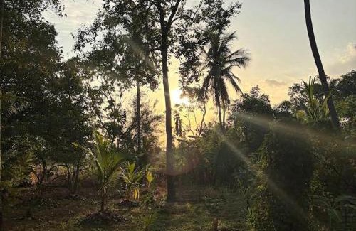 Kandalama House | Ema homestay